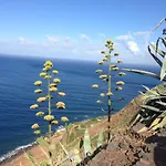 Blooming Botanic *
