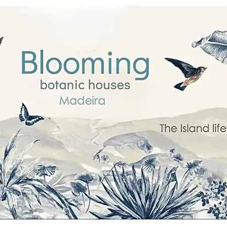 Сasa de vacaciones Blooming Botanic