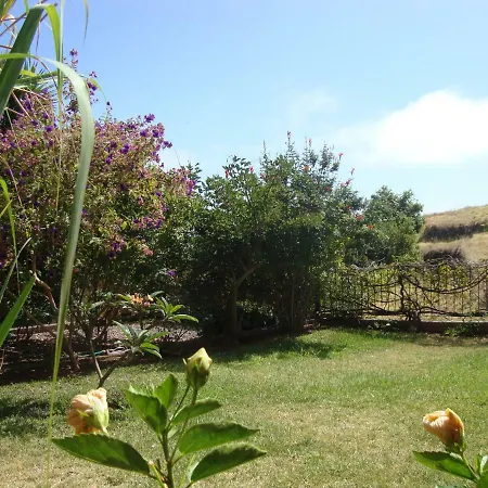 Vakantiehuis Blooming Botanic