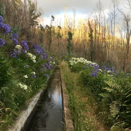 Blooming Botanic *