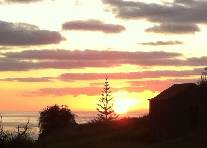 Blooming Botanic Holiday home *