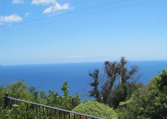 Blooming Botanic Holiday home Estreito Da Calheta