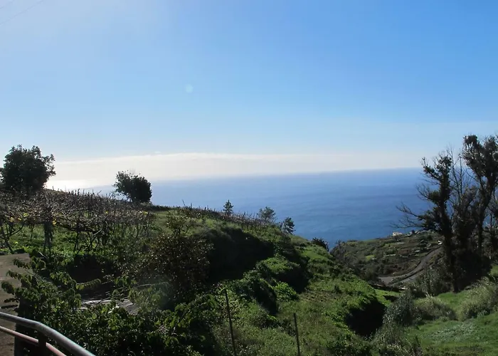 Blooming Botanic Estreito Da Calheta