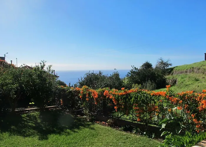 Blooming Botanic Holiday home Estreito Da Calheta