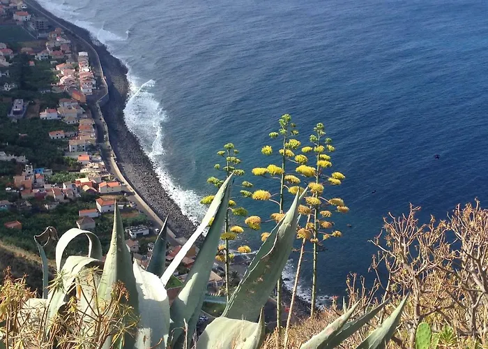 Blooming Botanic Feriehus