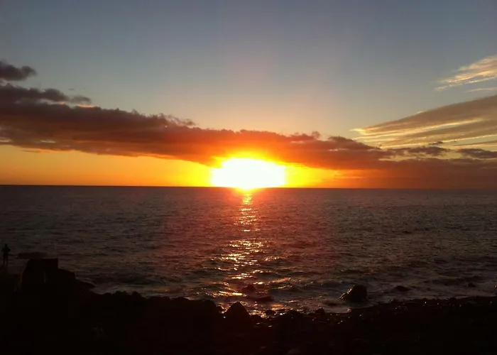 Feriehus Blooming Botanic