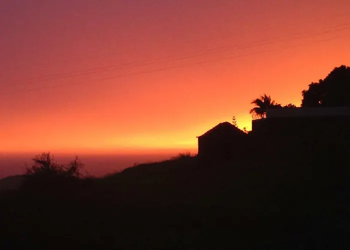 Blooming Botanic Feriehus