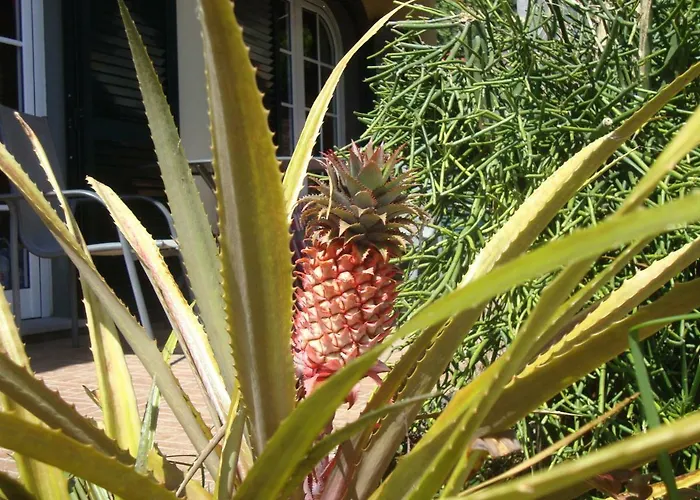 Holiday home Blooming Botanic