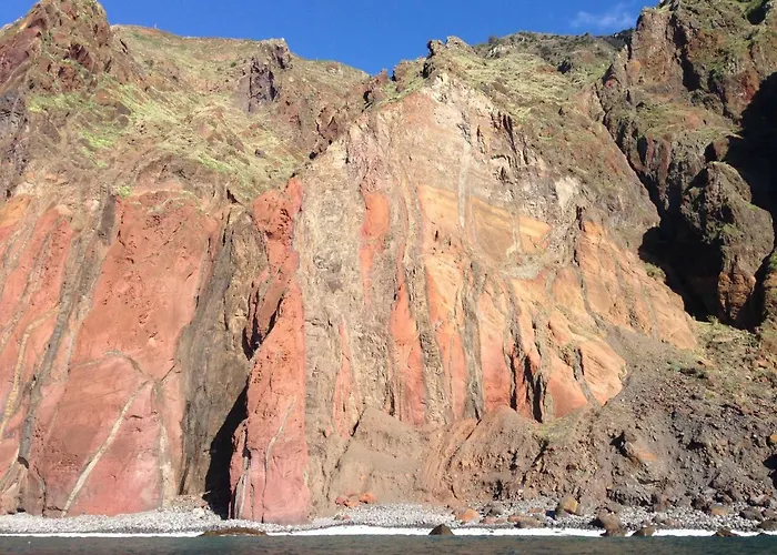 Blooming Botanic Feriehus *