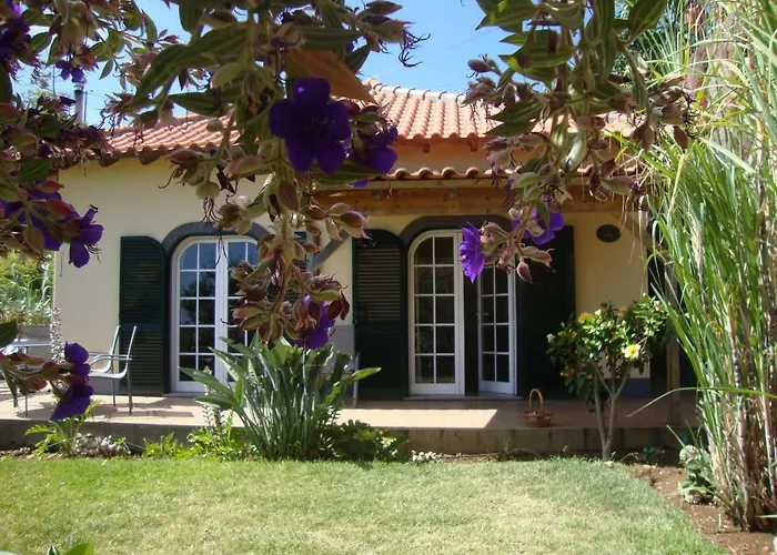 Blooming Botanic * Estreito Da Calheta