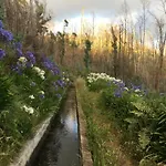 Blooming Botanic *
