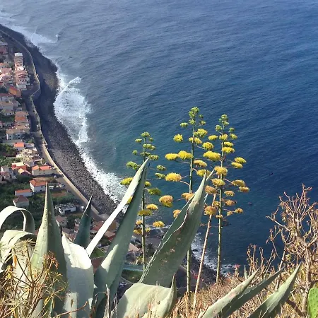 Blooming Botanic Feriehus