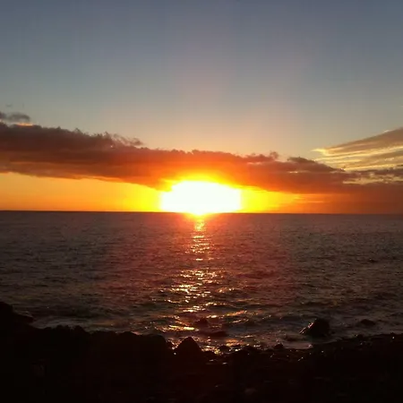 Ferienhaus Blooming Botanic