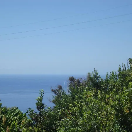 Blooming Botanic Сasa de vacaciones Estreito Da Calheta
