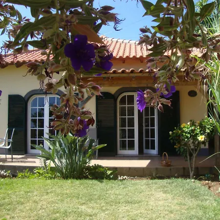 Blooming Botanic * Estreito Da Calheta