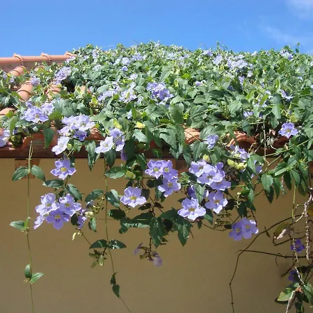 Blooming Botanic * Estreito Da Calheta