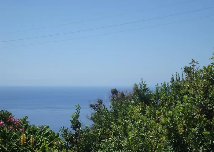 Blooming Botanic Feriehus Estreito Da Calheta